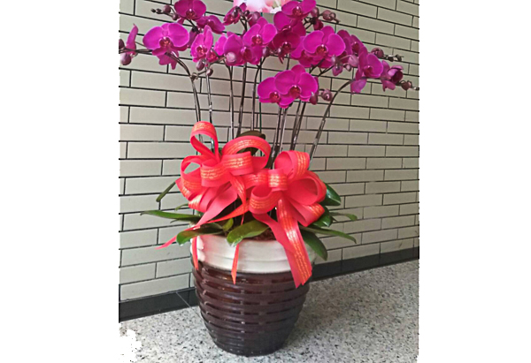 浪漫花坊15