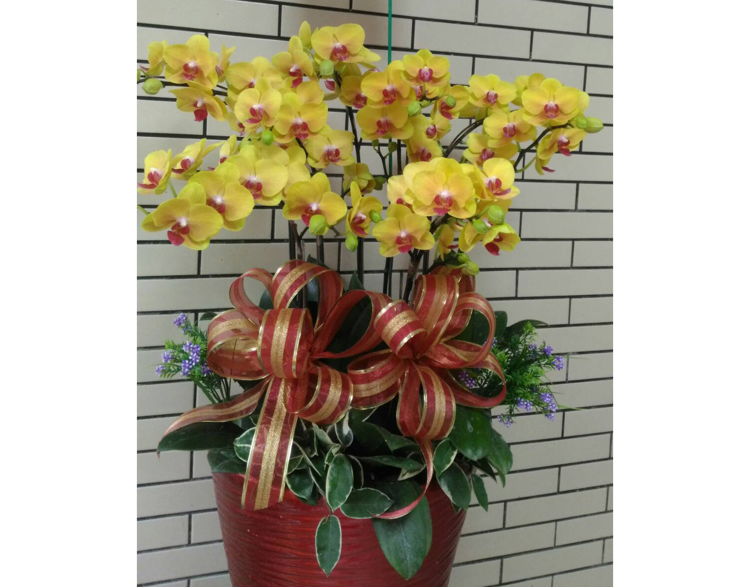 浪漫花坊27