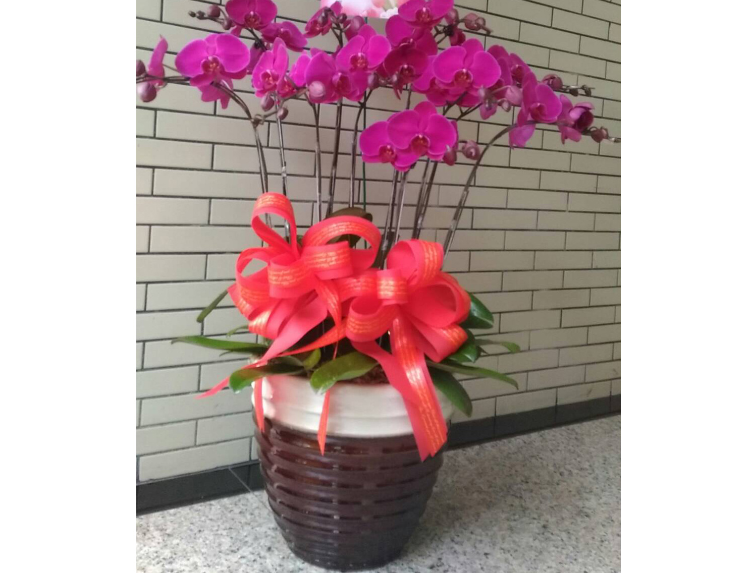 浪漫花坊30