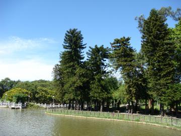 台北青年公園