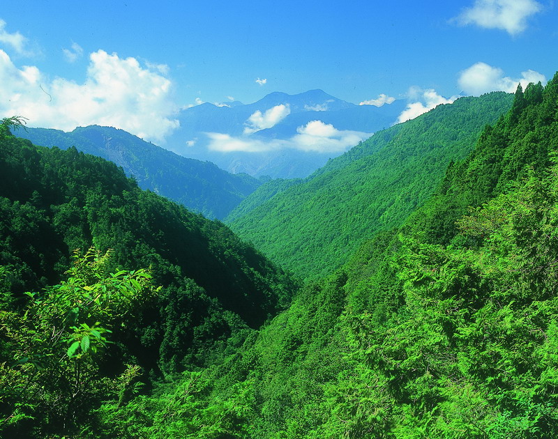 太平山國家森林遊樂園